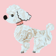 White with patterns Koko Poodle Dog Brooch with a pink necklace