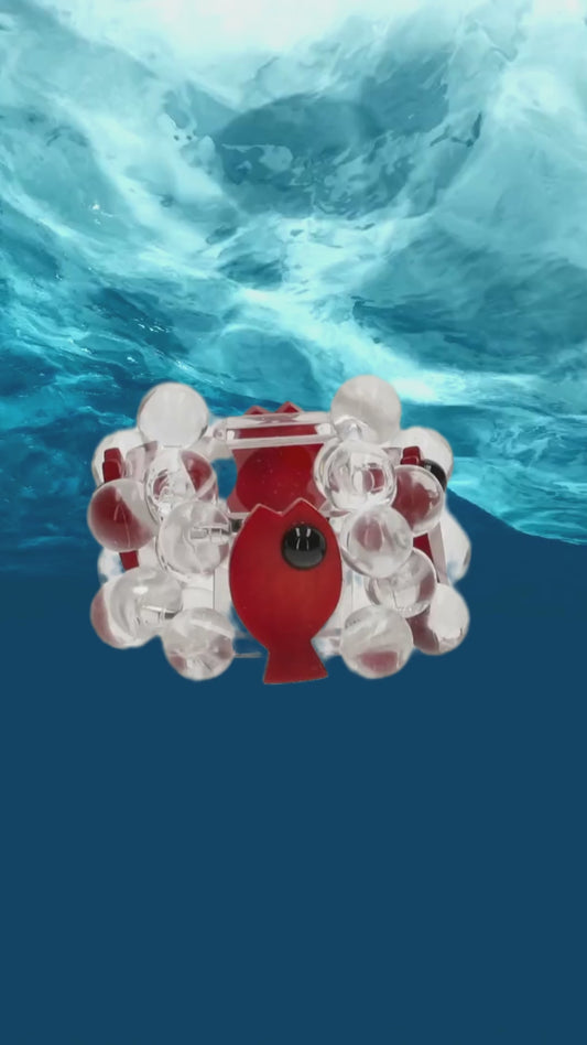 Transparent Plexiglas and Red Fish Bracelet 